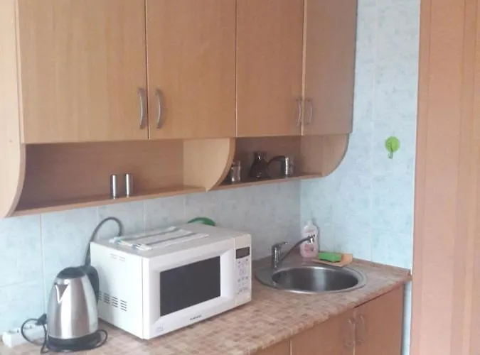 Apartment in the city center